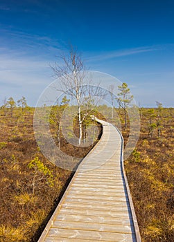 Viru Bog Viru Raba peat swamp, Estonia