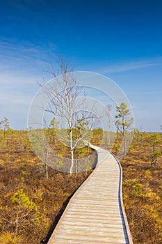 Viru Bog Viru Raba peat swamp, Estonia