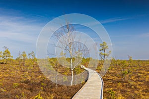Viru Bog Viru Raba peat swamp, Estonia