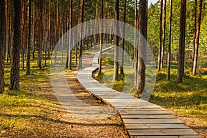 Viru Bog Viru Raba peat swamp, Estonia