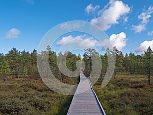 Viru bogs at Lahemaa national park