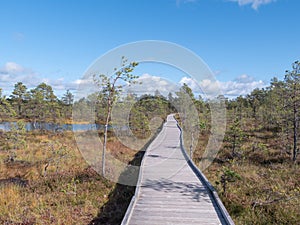 Viru bogs at Lahemaa national park