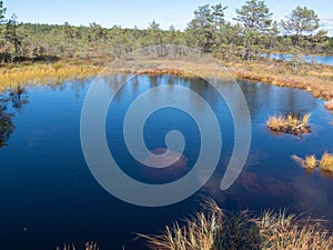 Viru bogs at Lahemaa national park