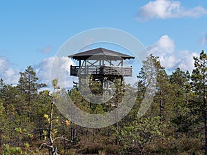 Viru bogs at Lahemaa national park