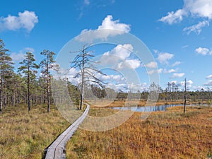 Viru bogs at Lahemaa national park