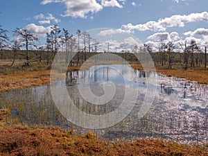 Viru bogs at Lahemaa national park