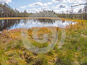 Viru bogs at Lahemaa national park