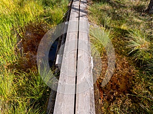 Viru bogs at Lahemaa national park