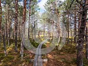 Viru bogs at Lahemaa national park