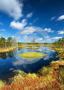 Viru bogs at Lahemaa national park