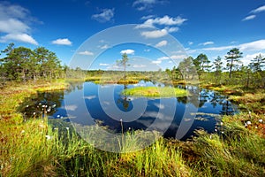 Viru bogs at Lahemaa national park