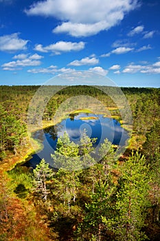 Viru bogs at Lahemaa national park