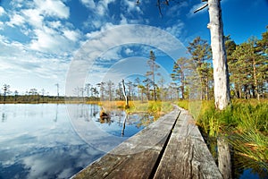 Viru bogs at Lahemaa national park