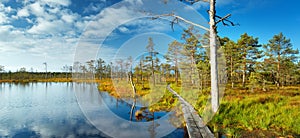 Viru bogs at Lahemaa national park