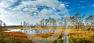 Viru bogs at Lahemaa national park