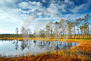 Viru bogs at Lahemaa national park