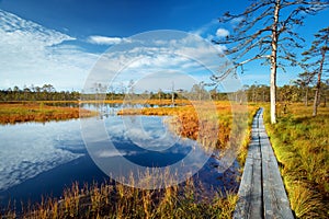 Viru bogs at Lahemaa national park