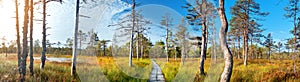 Viru bogs at Lahemaa national park