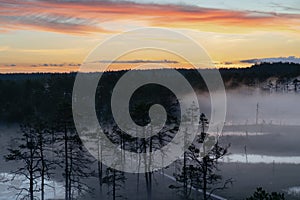 Viru raba in the early morning at sunrise, fog over the swamp on a summer morning