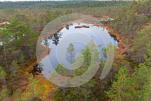 Viru Raba, Lehemaa National Park, Estonia