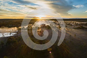 Viru swamp at sunrise on a foggy morning, shot from a drone