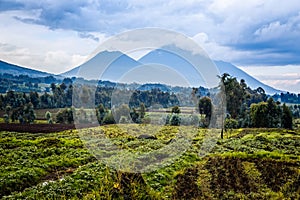 Virunga volcano national park landscape with green farmland fields in the foreground, Rwanda photo