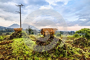 Virunga volcano national park landscape with beehives and farmland fields in the foreground, Rwanda