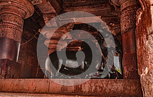 Virupaksha temple Pattadakal huge bull the shiva vehicle in hindu methodology