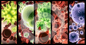 Virus, bacteria and cell structure of disease closeup in series for medical investigation or research. Covid, particle