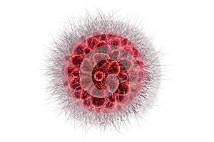 virus, bacteria, cell on white background