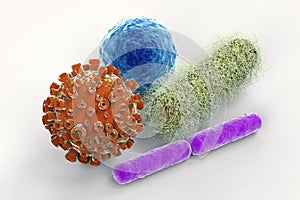 Virus and bacteria cells photo