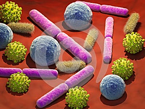 Virus and bacteria cells in vein