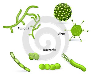 Virus, bacteria and fungi photo