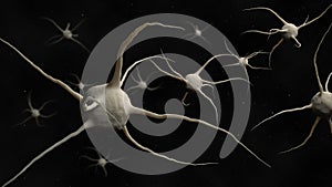 Virus bacteria microscope