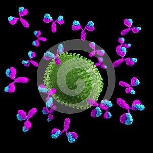 A virus being attacked by antibodies