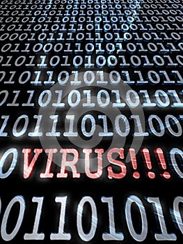 Virus in the binary code