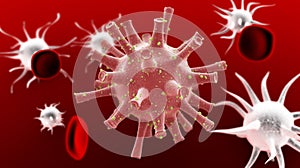 Virus in blood infection bacteria