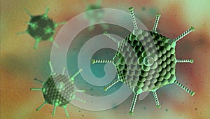 Virus cells of the adenovirus family