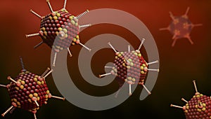 Virus cells of the adenovirus family