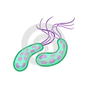 Virus of cholera. Pathogenic bacteria. Infectious disease. Microbiology theme. Flat vector design