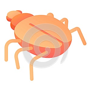 Virus computer bug icon, isometric style