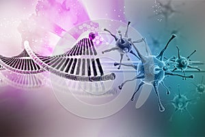 Virus with dna stucture