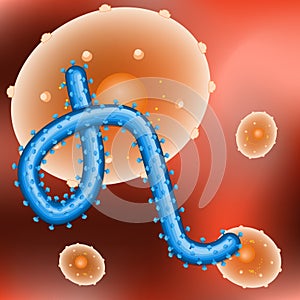 Virus ebola and human cell
