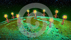 Virus, flu, view of a virus under a microscope, infectious disease