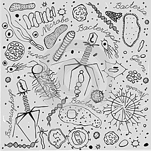 Virus hand-drawn image