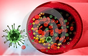 Virus infecting the blood cells in vein blood stream