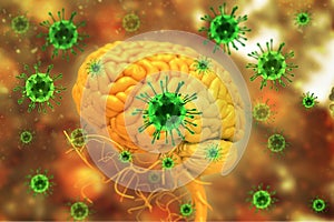 Virus infection on brain