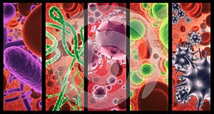 Virus, infection and cell structure of disease closeup in series for medical investigation or research. Covid, bacteria