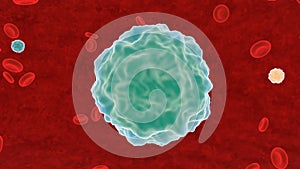 Virus Infects the Blood Cell