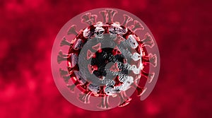 Virus micrograph